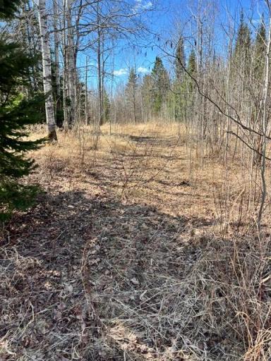 10354 County Road 553, Nashwauk, MN 55769