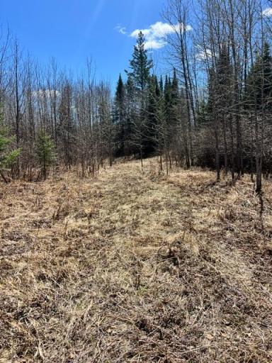 10354 County Road 553, Nashwauk, MN 55769