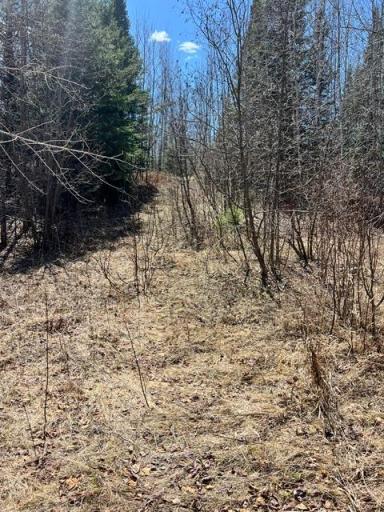 10354 County Road 553, Nashwauk, MN 55769