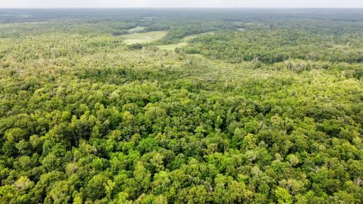 33631 Saint Croix Road, Pine City, MN 55063
