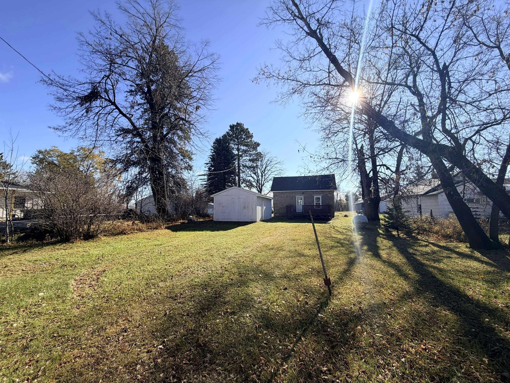 Backyard.jpg