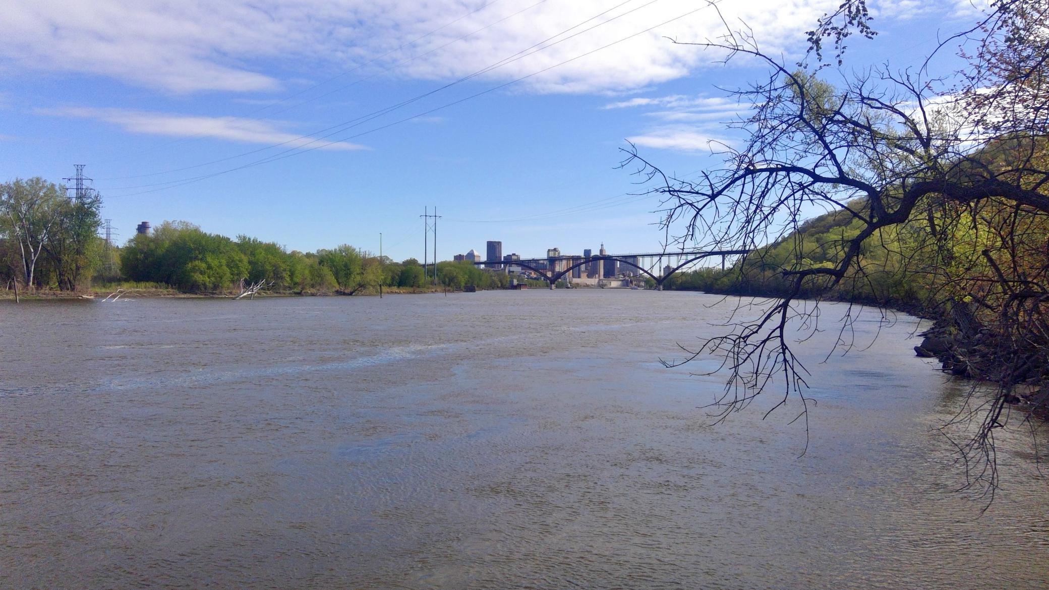 city view3.jpg