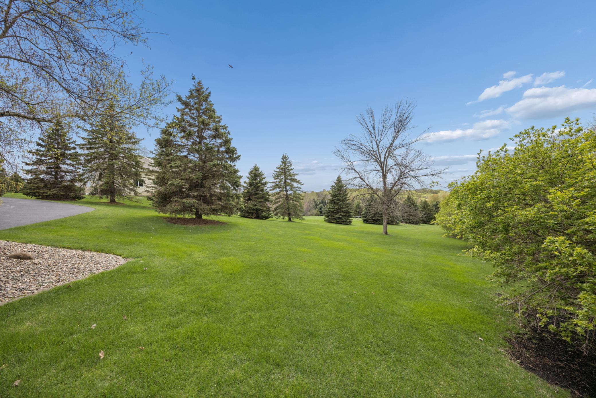 Private side yard surrounded by mature, medium tree coverage.
