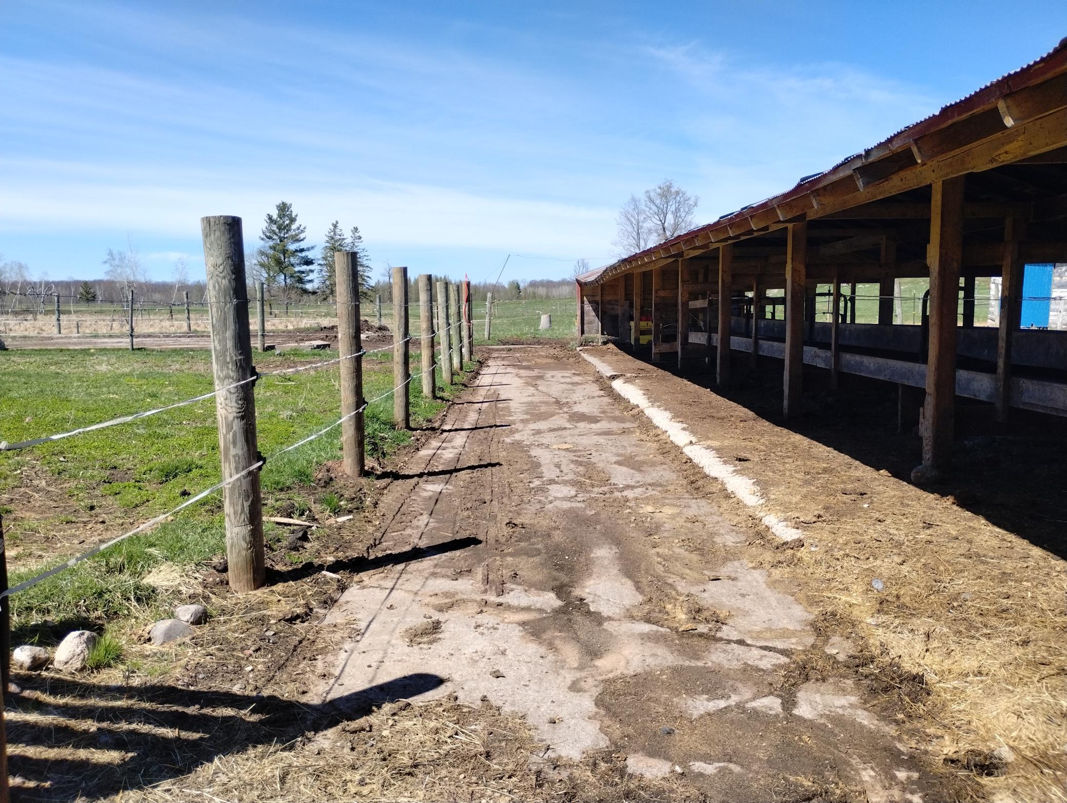Photo 86