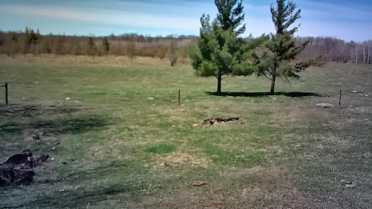 photo_00172.jpg