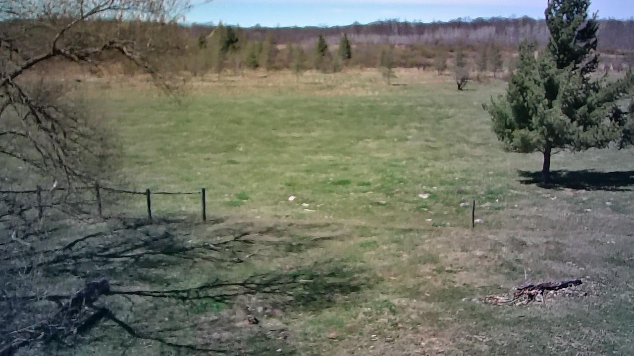 photo_00176.jpg