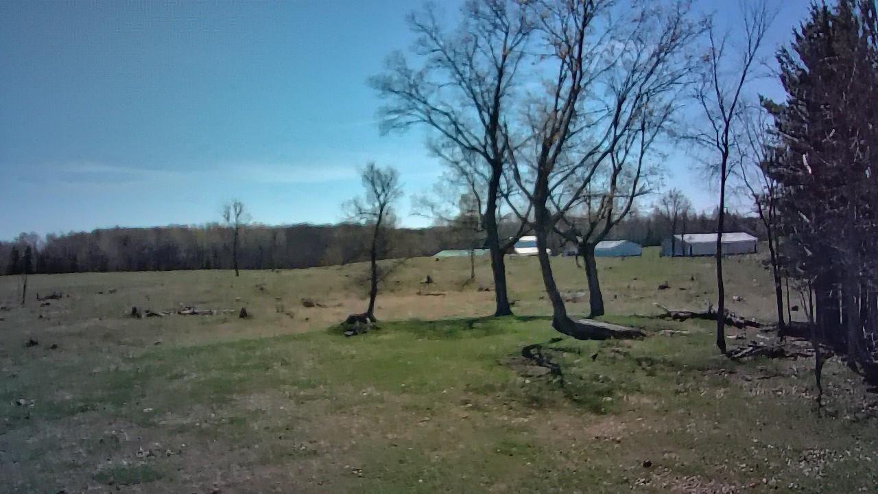 photo_00186.jpg