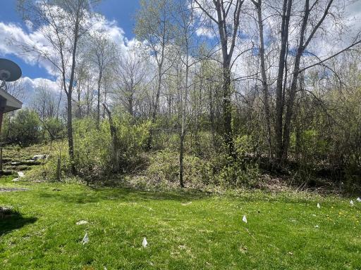 31763 Magnum Road, Chatfield, MN 55923