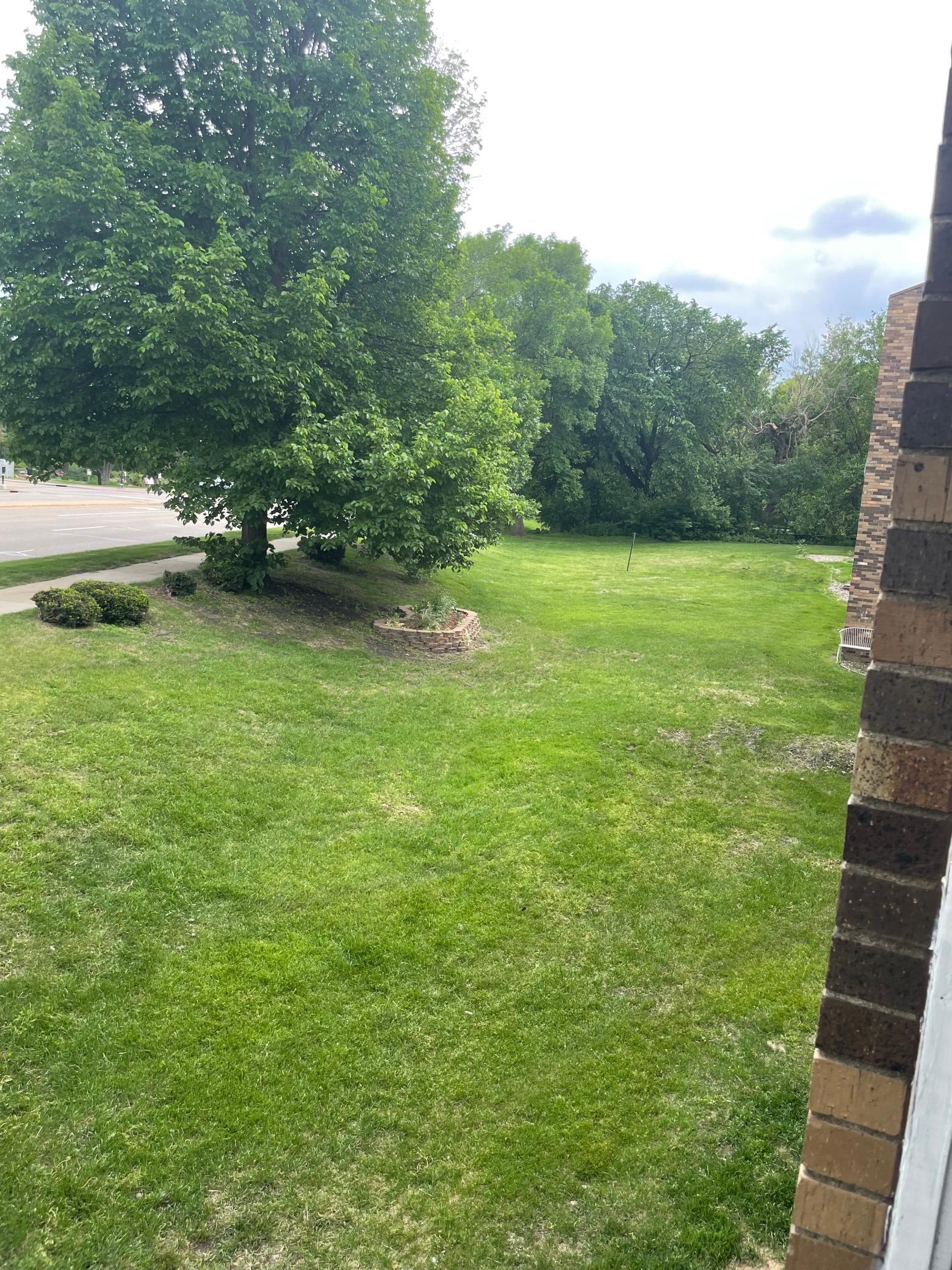 View of trees from deck