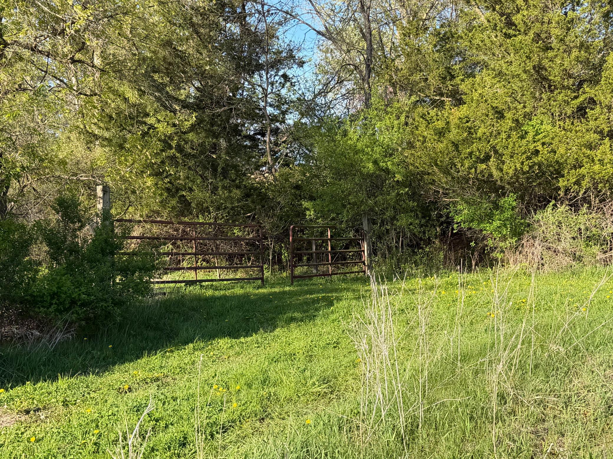 Photo 47