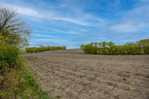 325 County Road 6 SW, Howard Lake, MN 55349