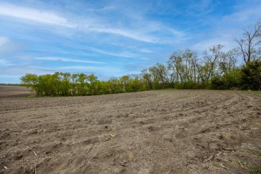 325 County Road 6 SW, Howard Lake, MN 55349