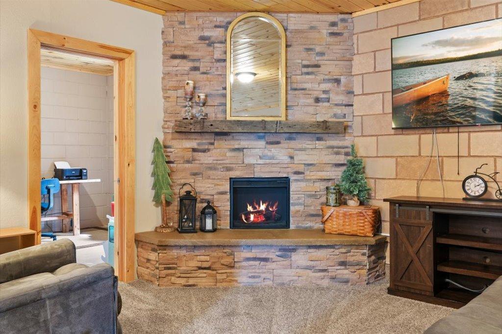 Gas Fireplace in basement