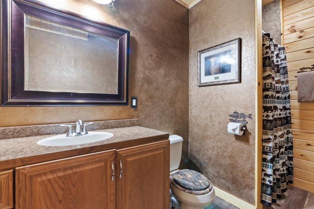 Lower Level Bathroom
