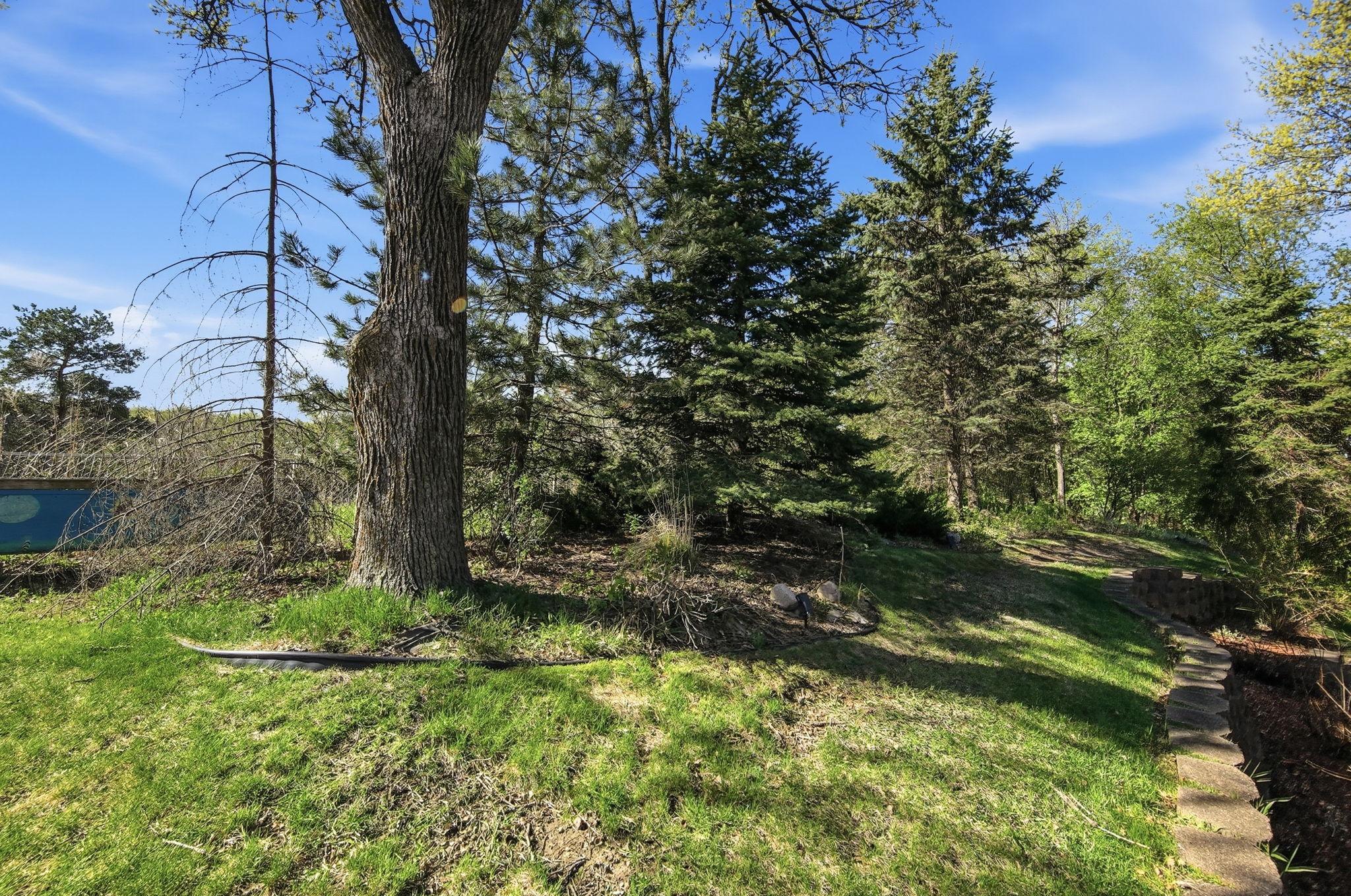Professionally terraced backyard with mature pine and oak trees