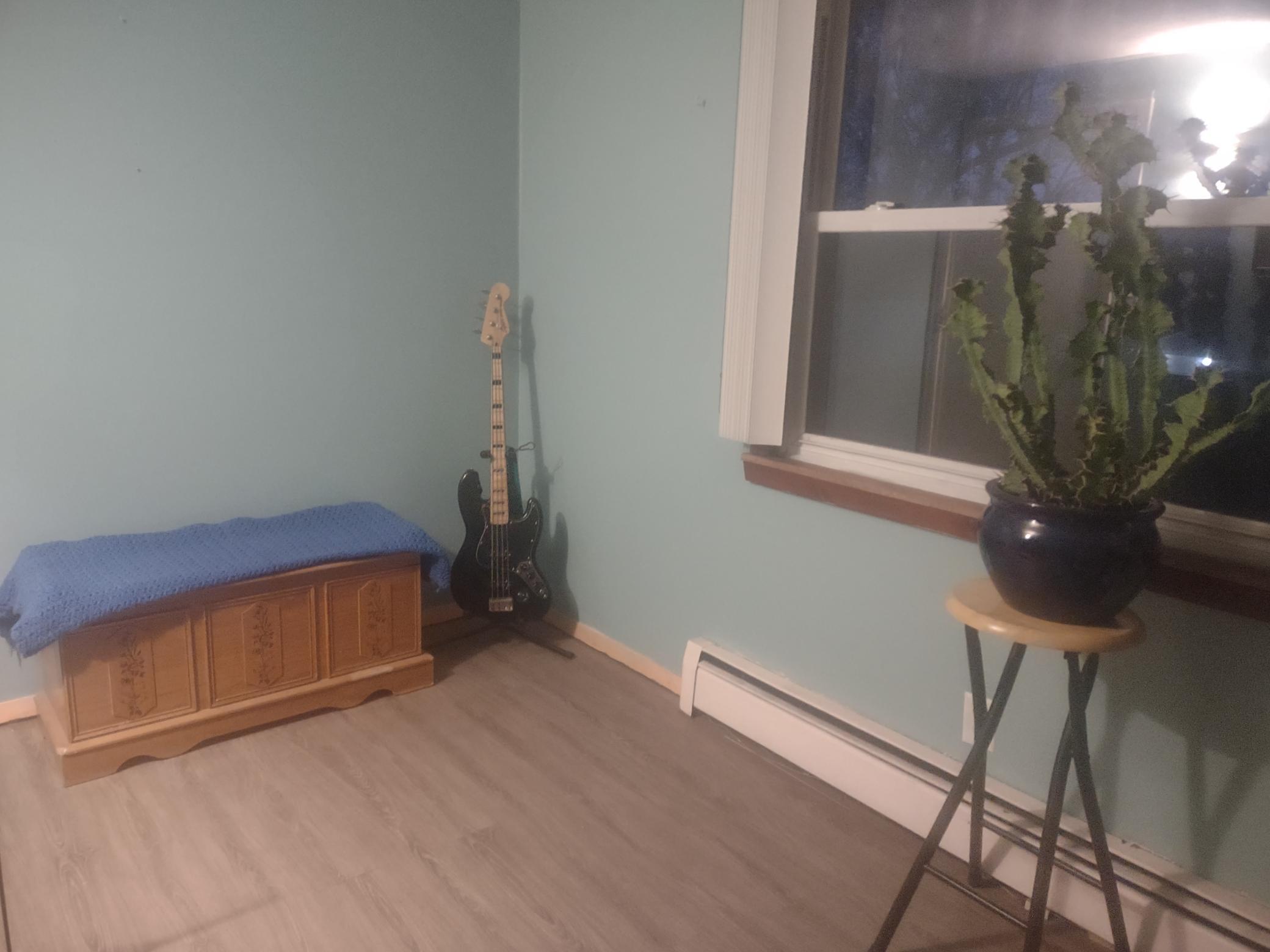 SE Bedroom