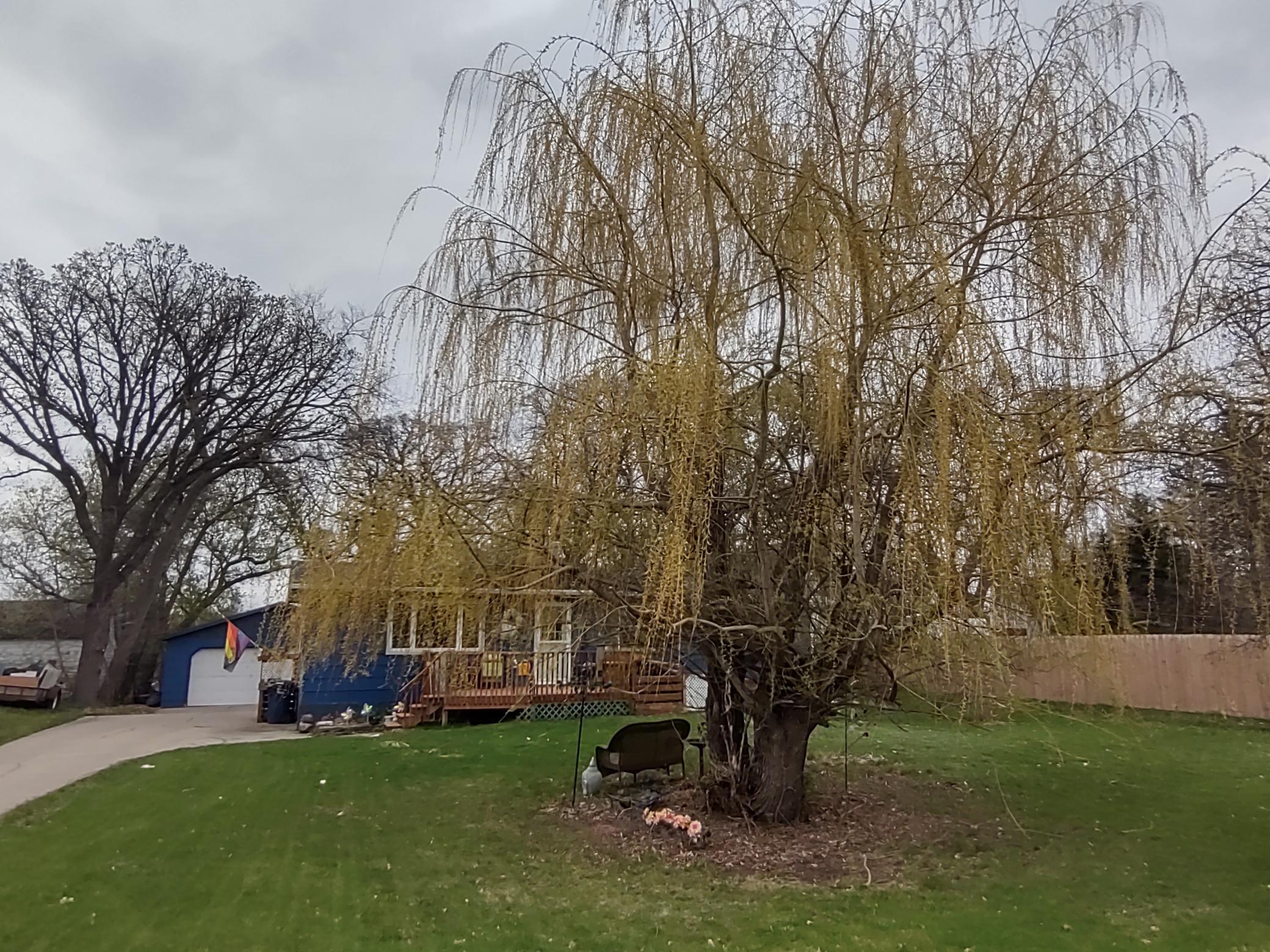 large front yard