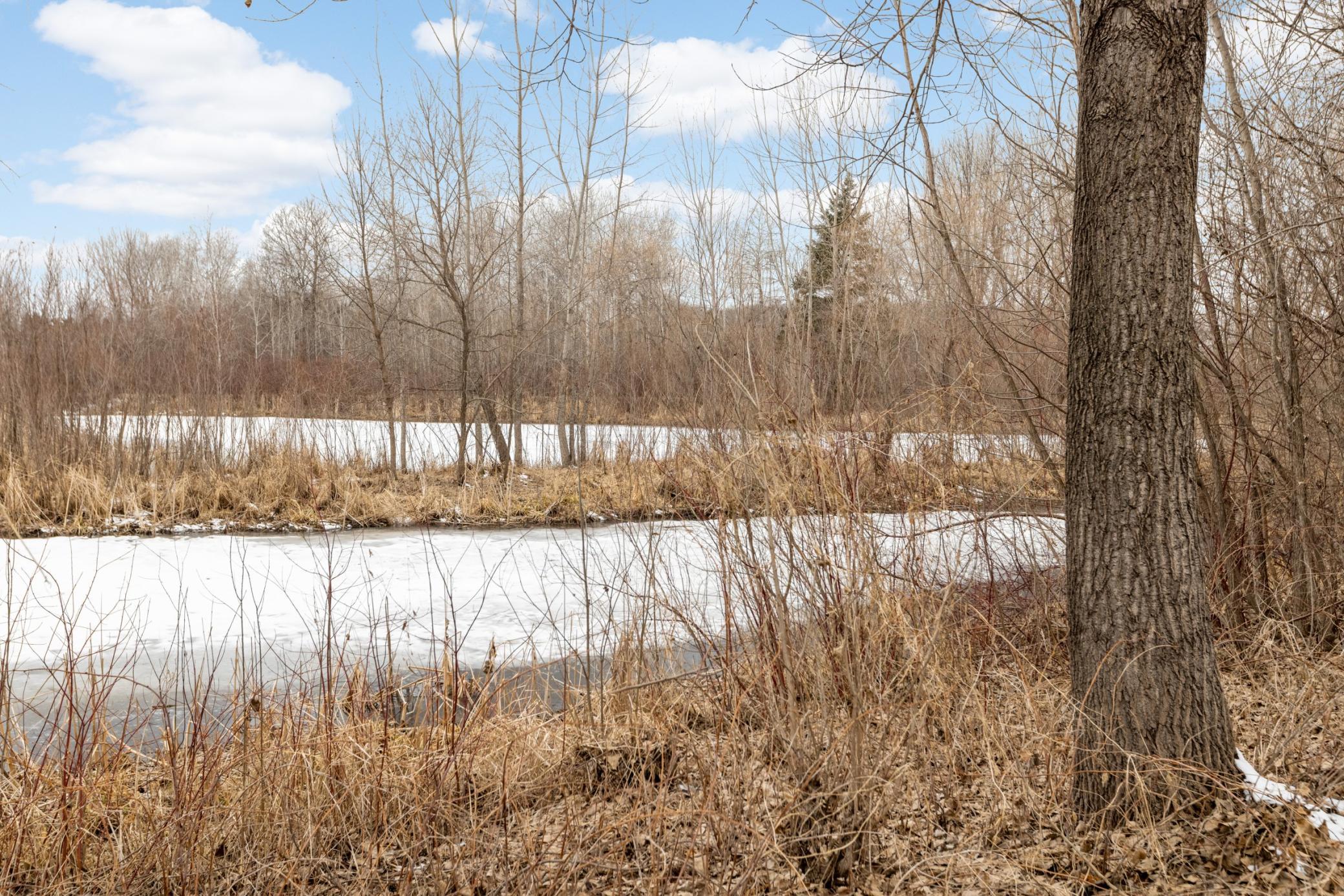 Backs up to wooded wetlands with wildlife views and trail system