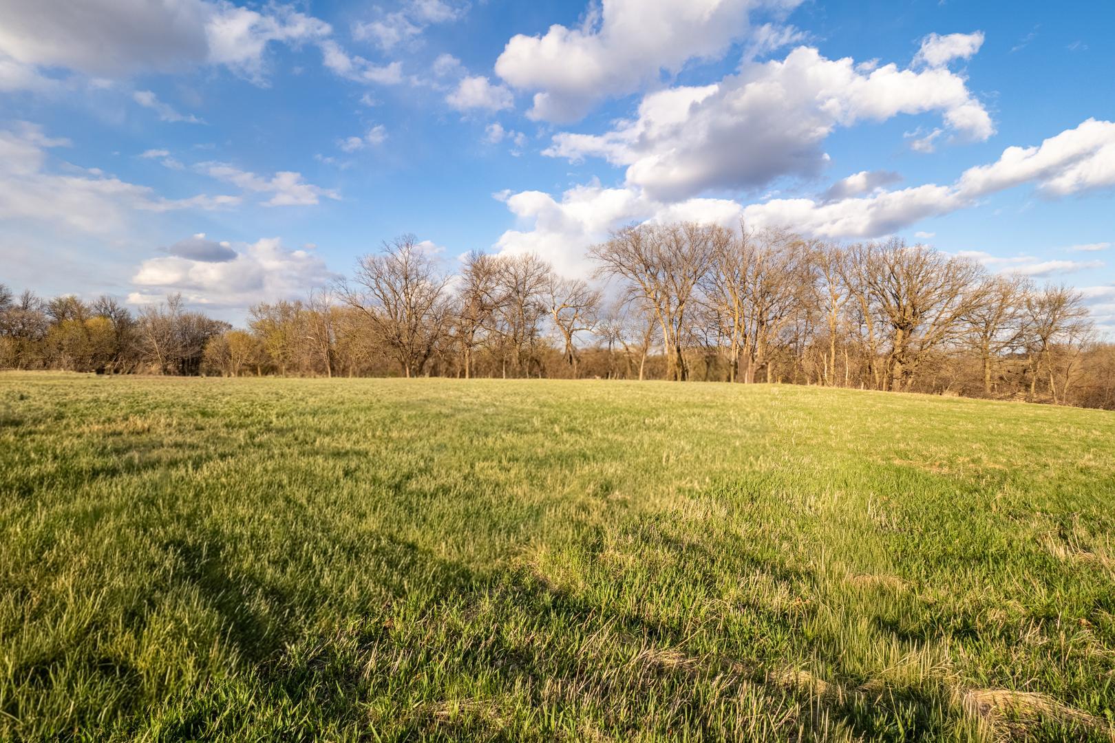 Looking NE over the back pasture