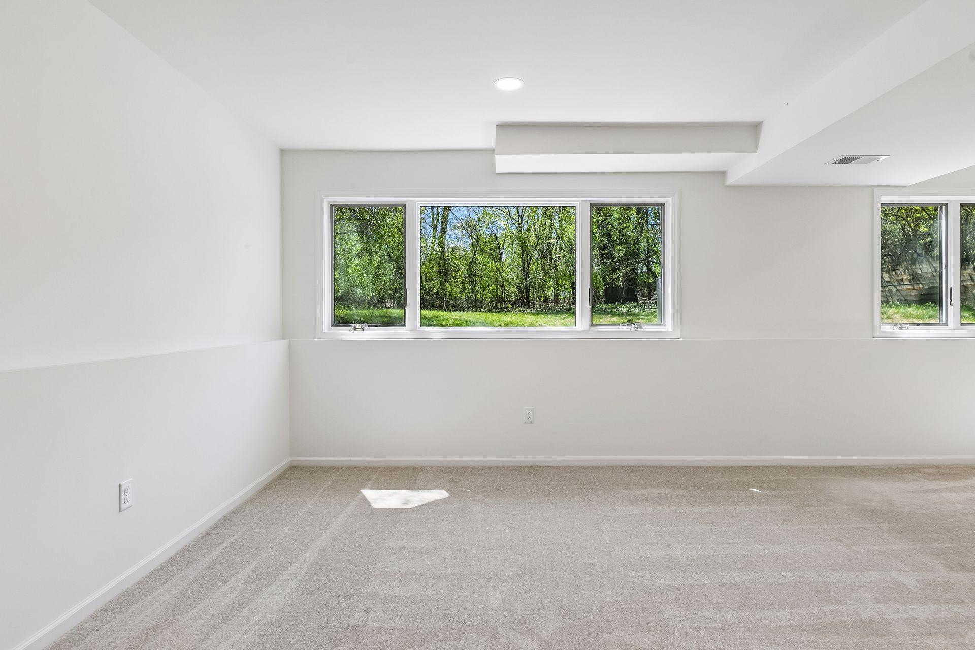 Basement Living Room