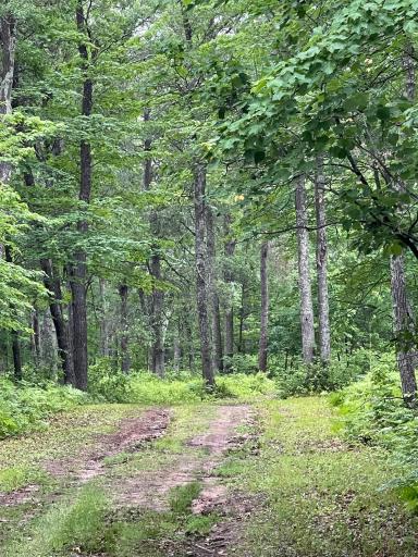 29770 Little Bear Drive, Danbury, WI 54830