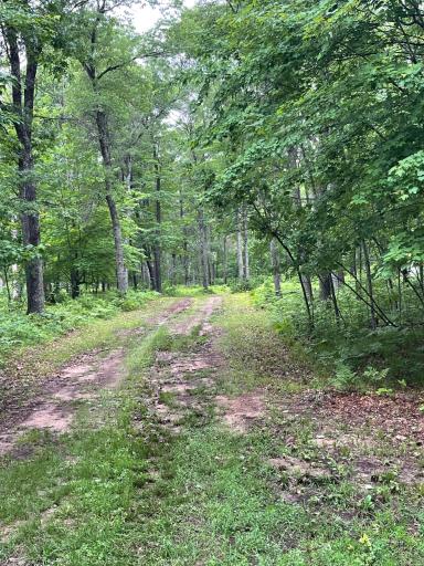 29770 Little Bear Drive, Danbury, WI 54830