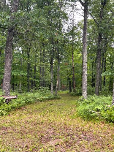 29770 Little Bear Drive, Danbury, WI 54830