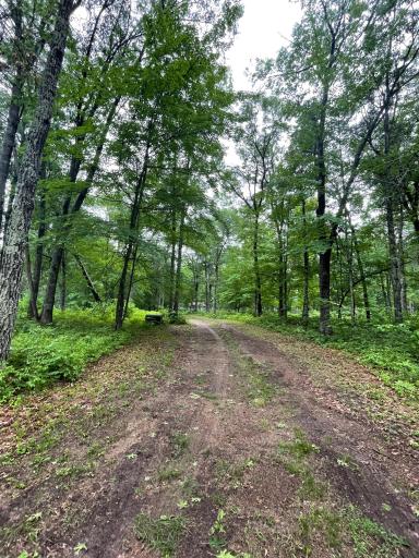29770 Little Bear Drive, Danbury, WI 54830