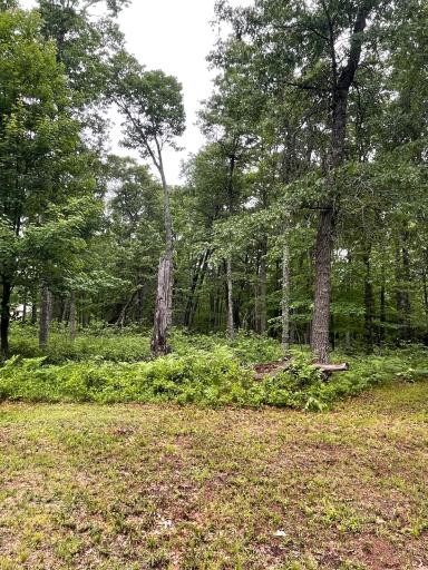 29770 Little Bear Drive, Danbury, WI 54830