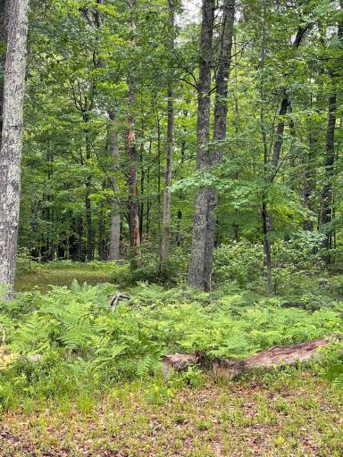 29770 Little Bear Drive, Danbury, WI 54830