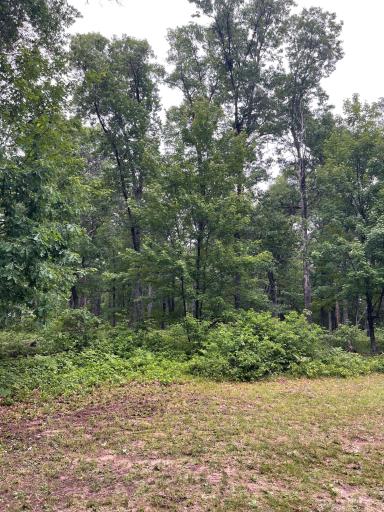 29770 Little Bear Drive, Danbury, WI 54830