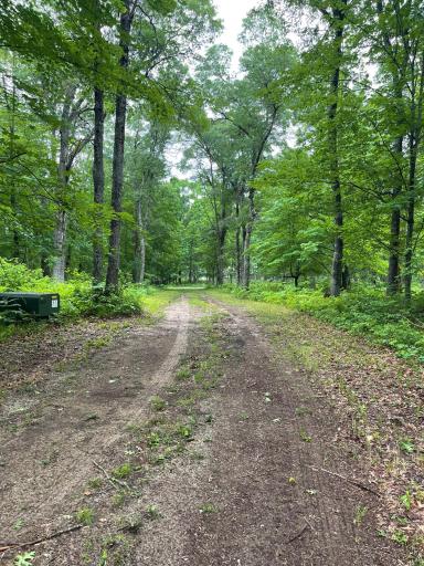 29770 Little Bear Drive, Danbury, WI 54830