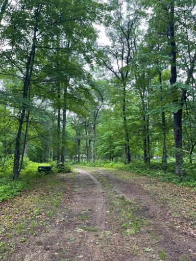29770 Little Bear Drive, Danbury, WI 54830