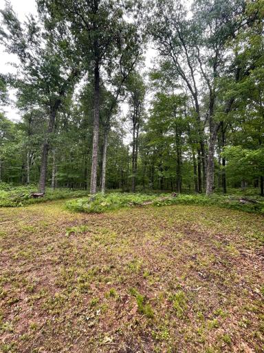 29770 Little Bear Drive, Danbury, WI 54830
