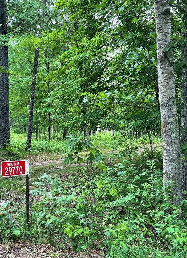 29770 Little Bear Drive, Danbury, WI 54830