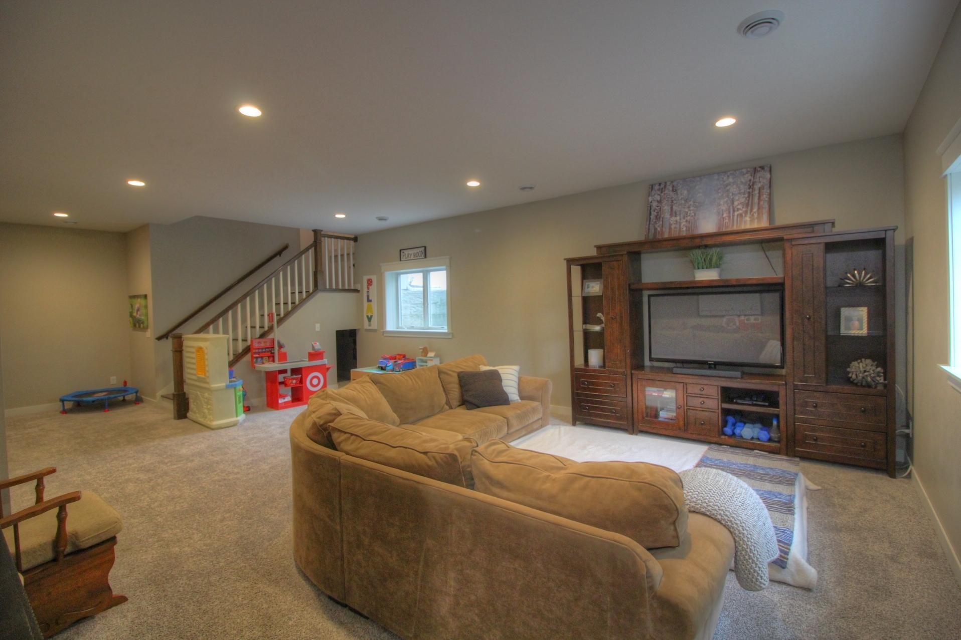 Lower Level Family Room