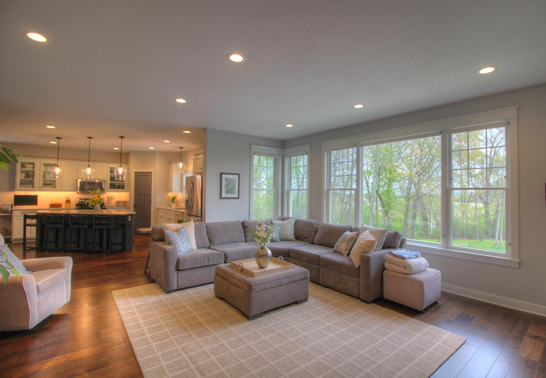 Light Filled Living Room