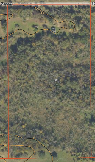 OnX photo.png