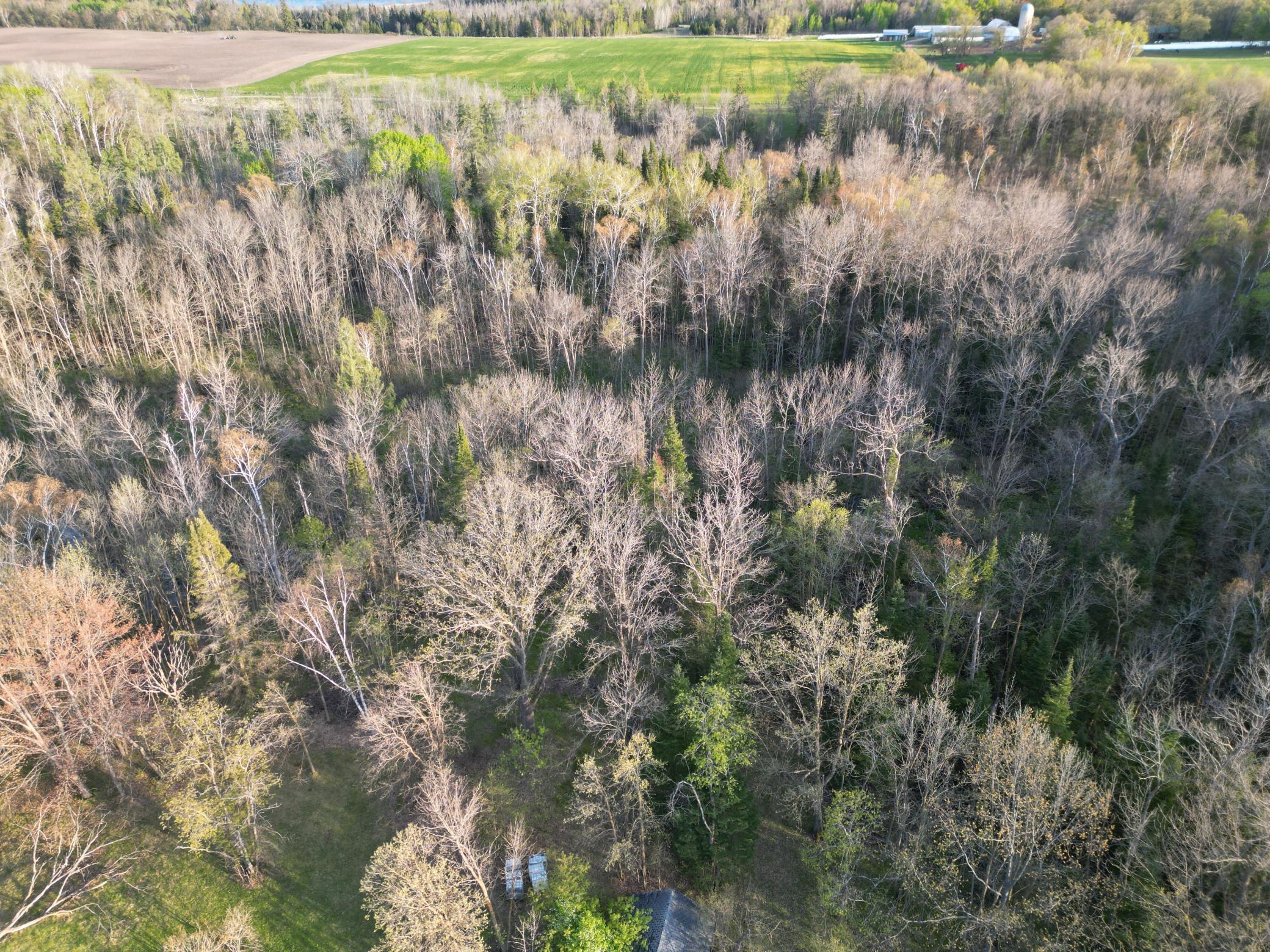 DJI_0016.JPG