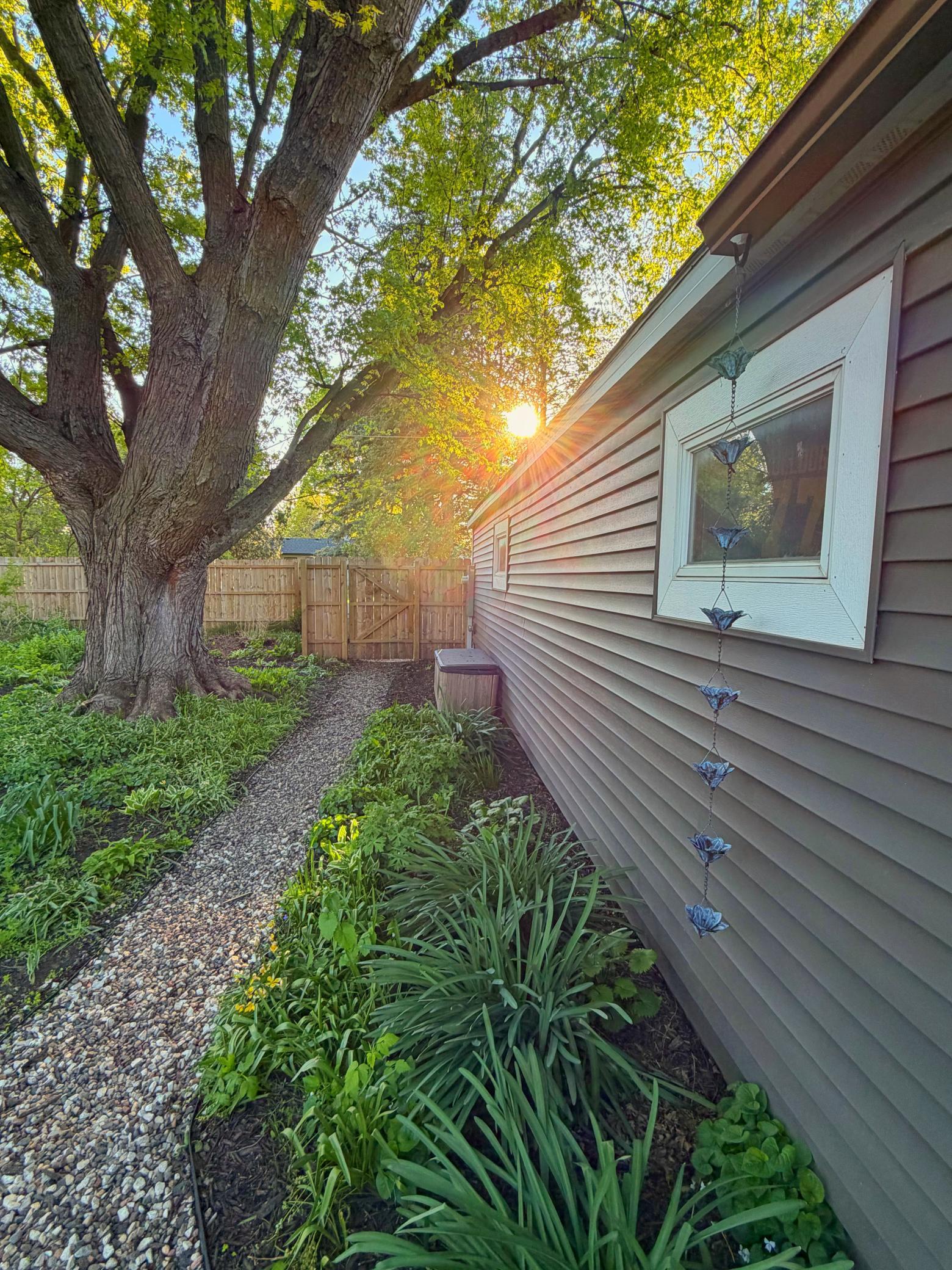 Side of garage walking path
