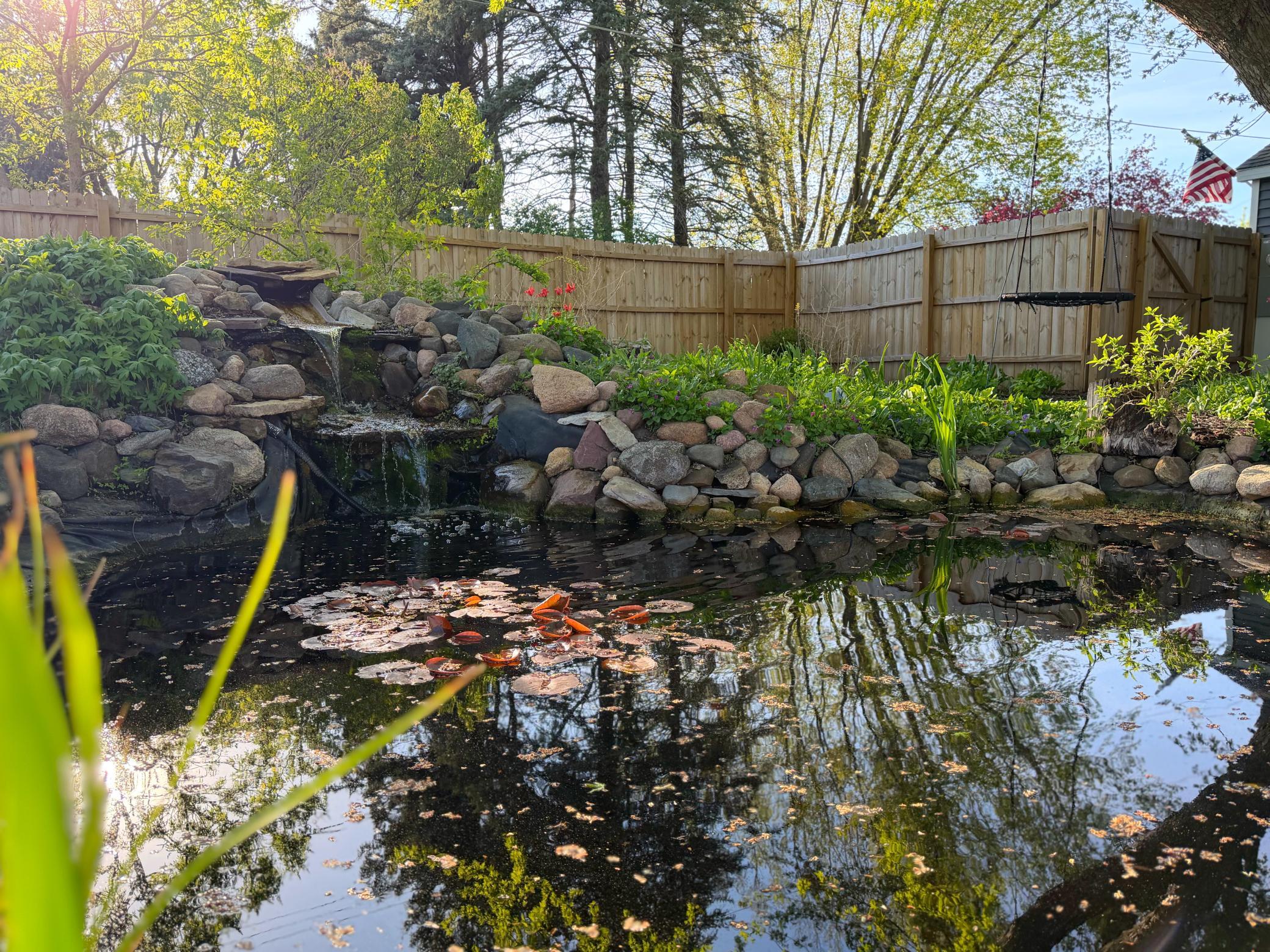 Backyard pond