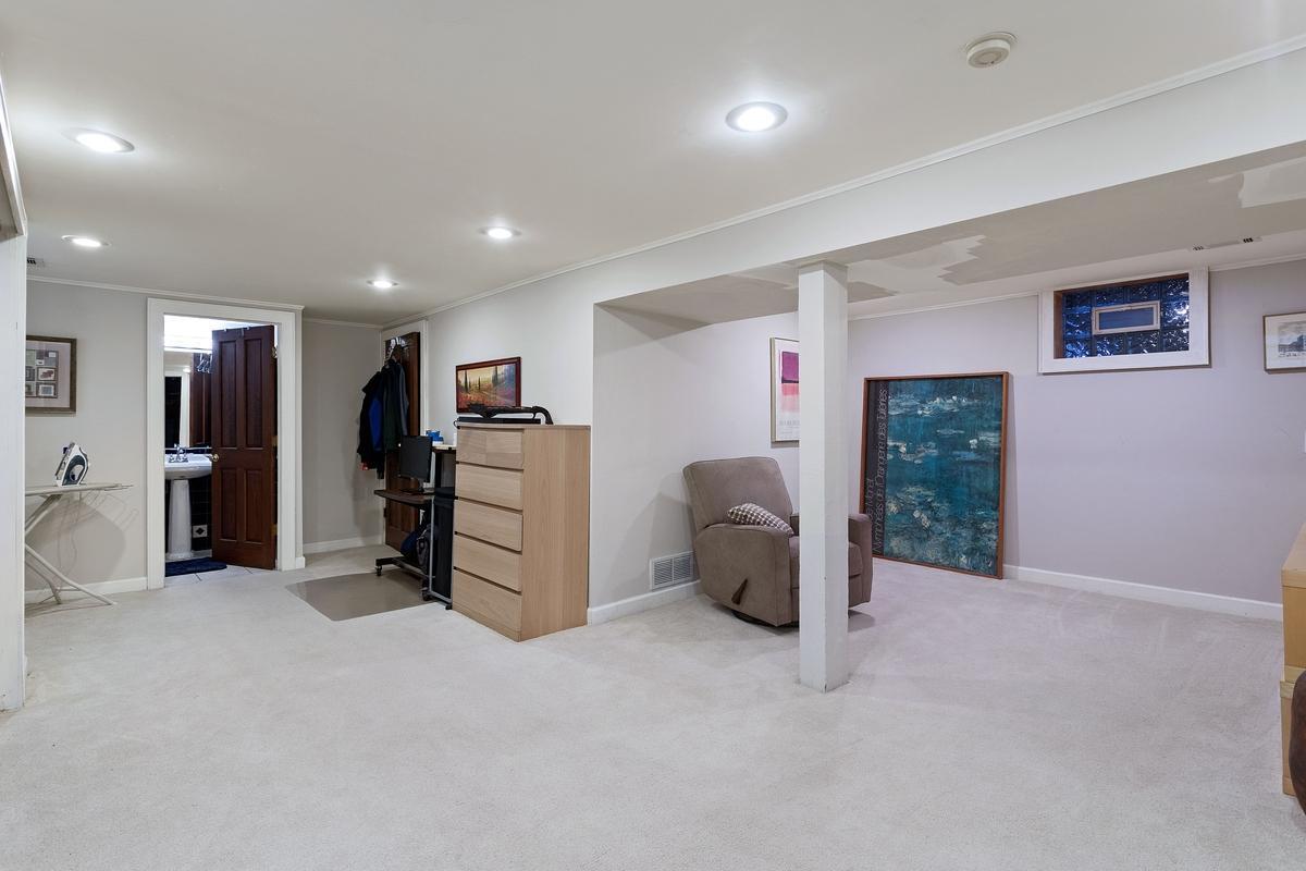 Lower level Family Room
