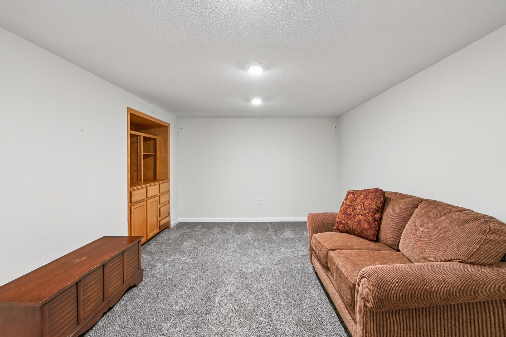 Lower level family room