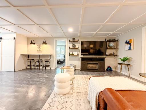 Lower level living room. (Showing BR3 Door)