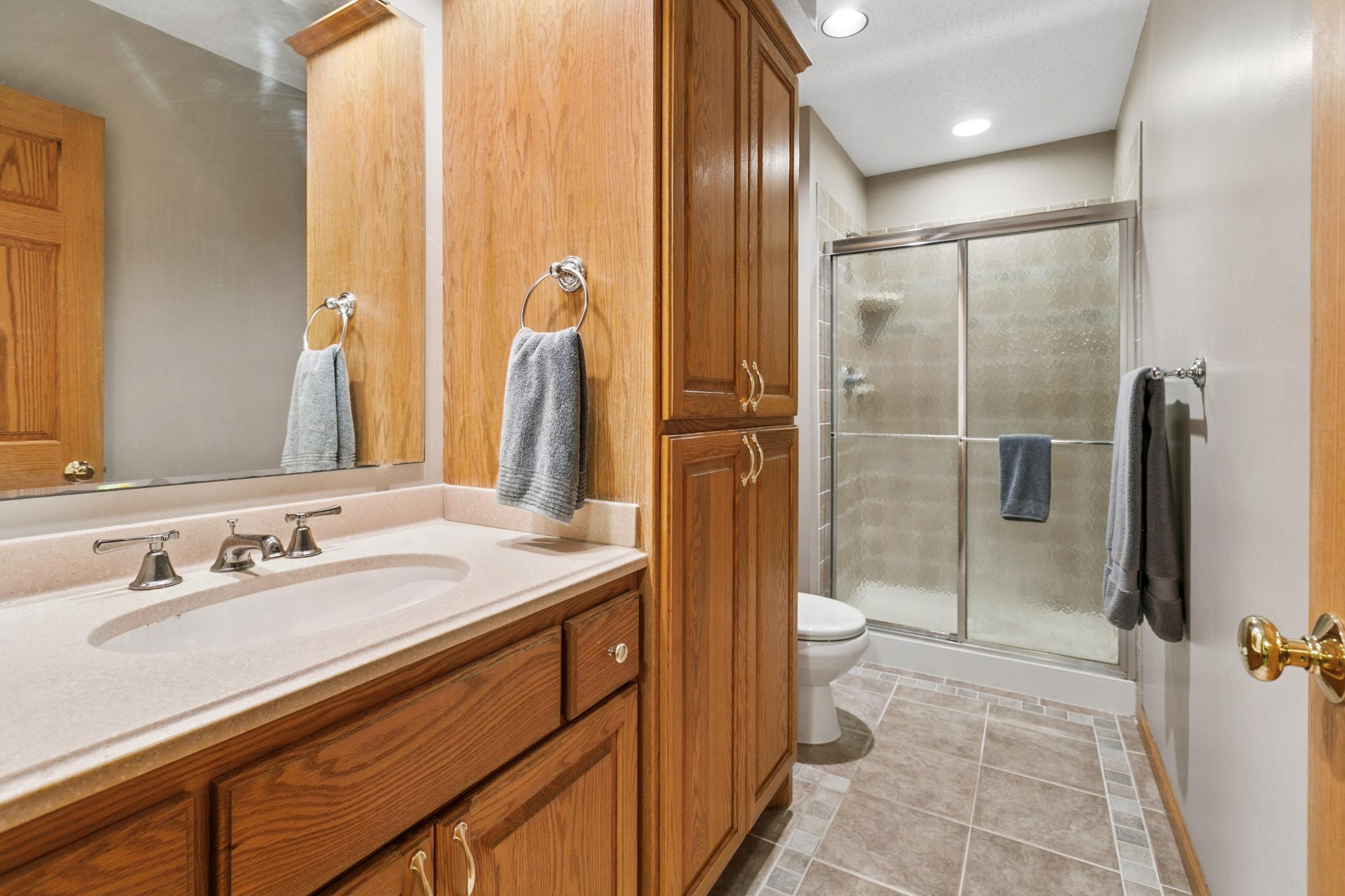 Lower Level 3/4 Bathroom
