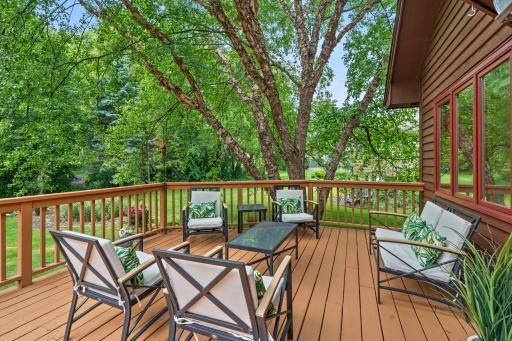 Large deck area comfortably accommodates full patio sets, framed beautifully by mature shade trees.