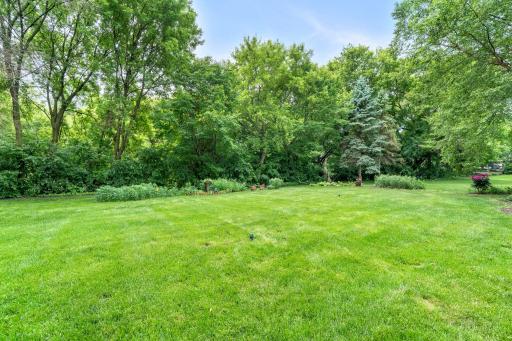 Looking across the vast, manicured lawn toward a serene backdrop of thick woods and professional landscaping.