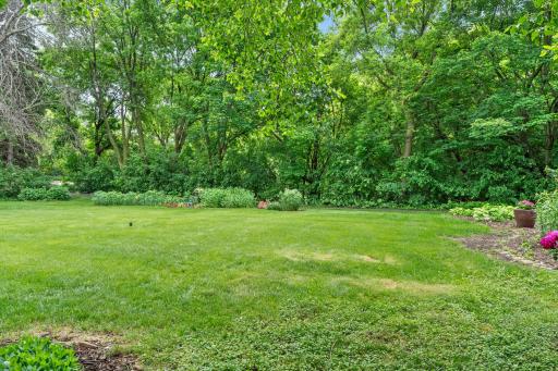 Expansive open green space offering total privacy, completely enveloped by a dense, beautiful tree line.