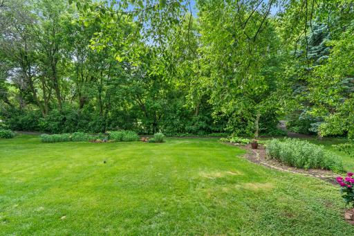 High-angle perspective showing the gorgeous shade tree canopy that makes this outdoor space feel entirely secluded.
