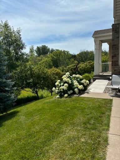 Dead end location with private wooded views!